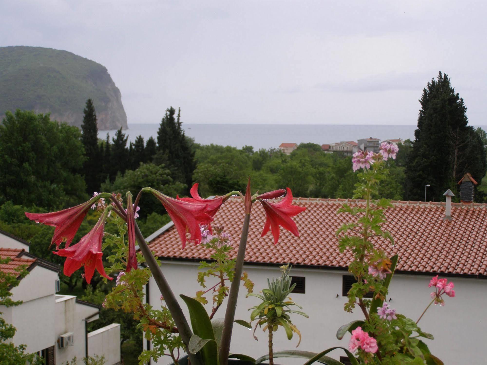 Hotel Wellness & Spa Angelo Gabriel Petrovac Εξωτερικό φωτογραφία
